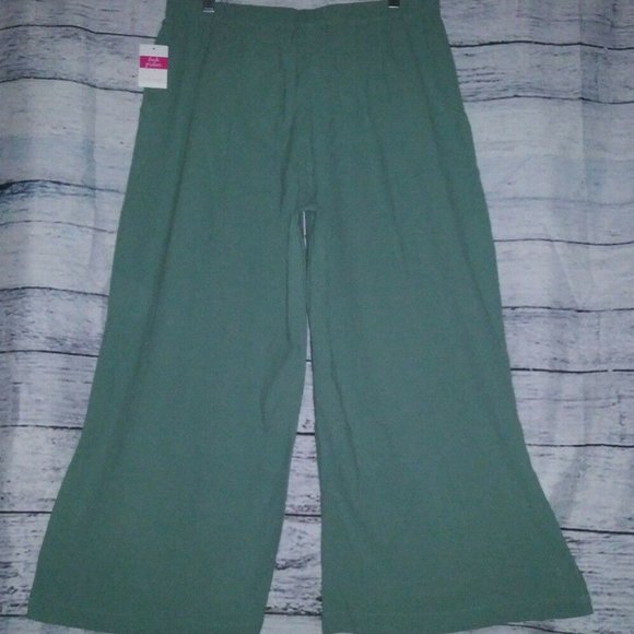 Fresh Produce 1X Lagoon Green Avila Capris Pants - Picture 11 of 12